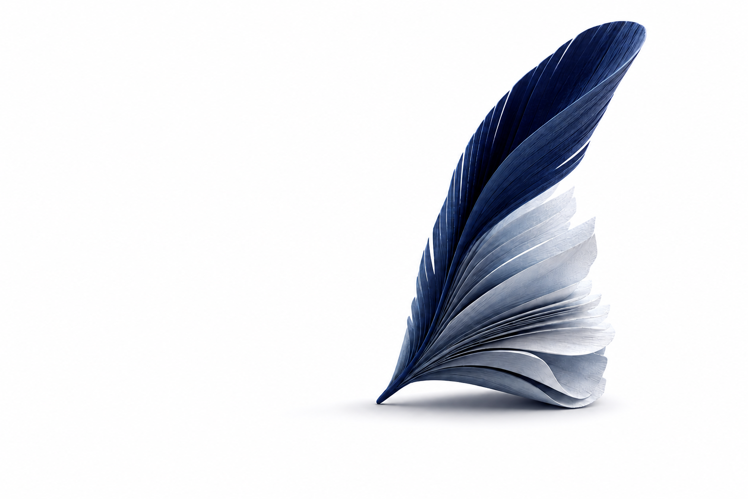A navy and silver feather sculpture